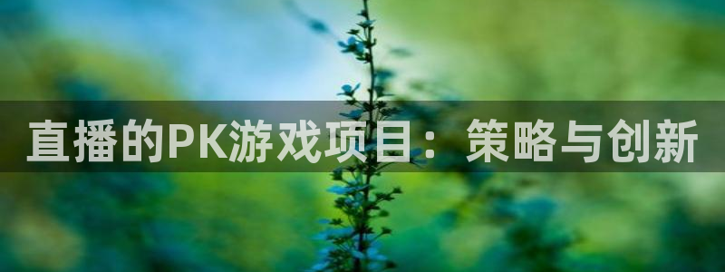 长征娱乐4招商：直播的PK游戏项目：策略与创新