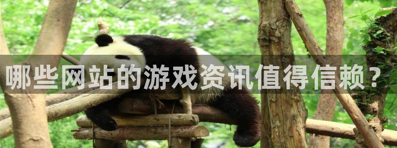 长征娱乐平台注册：哪些网站的游戏资讯值得信赖？