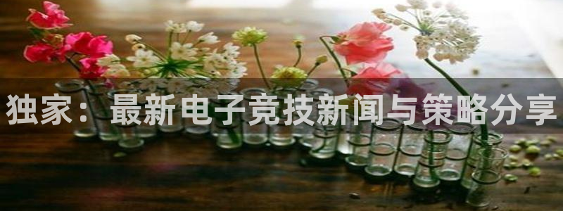 长征娱乐平台官网注册：独家：最新电子竞技新闻与策略分享