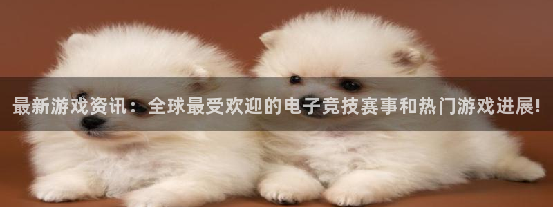 长征娱乐平台登录：最新游戏资讯：全球最受欢迎的电子竞技赛事和