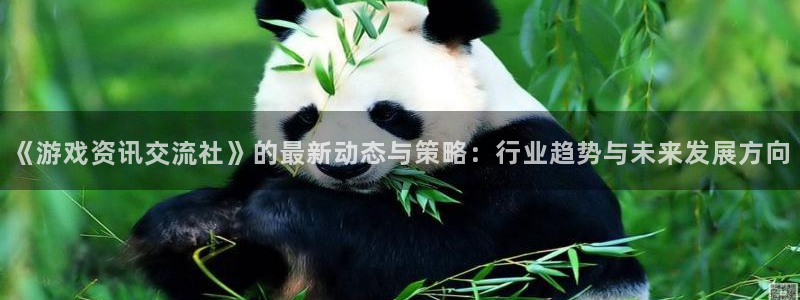 长征娱乐注册测速：《游戏资讯交流社》的最新动态与策略：行业趋