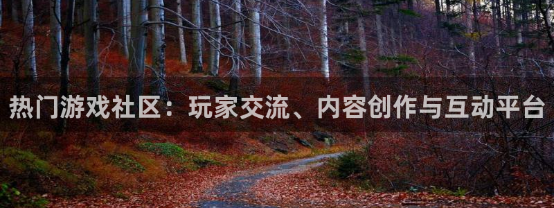 长征娱乐开户测速：热门游戏社区：玩家交流、内容创作与互动平台