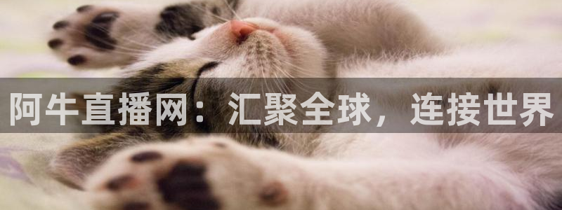 球友直播：阿牛直播网：汇聚全球，连接世界