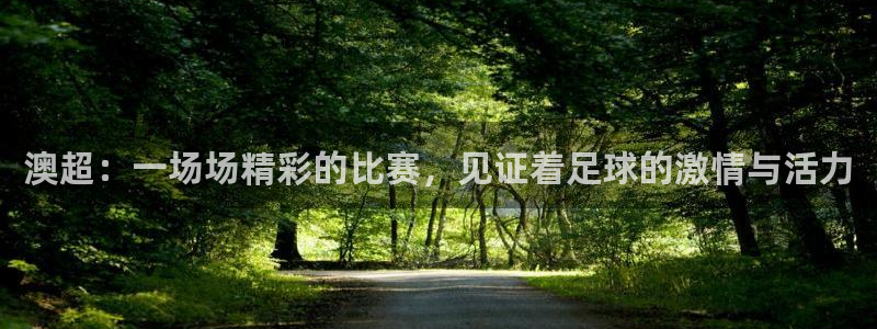 球友直播ios：澳超：一场场精彩的比赛，见证着足球的激情与活力