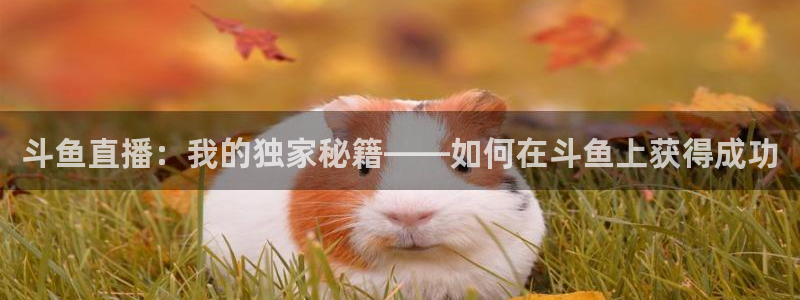 球友直播平台：斗鱼直播：我的独家秘籍——如何在斗鱼上获得成功
