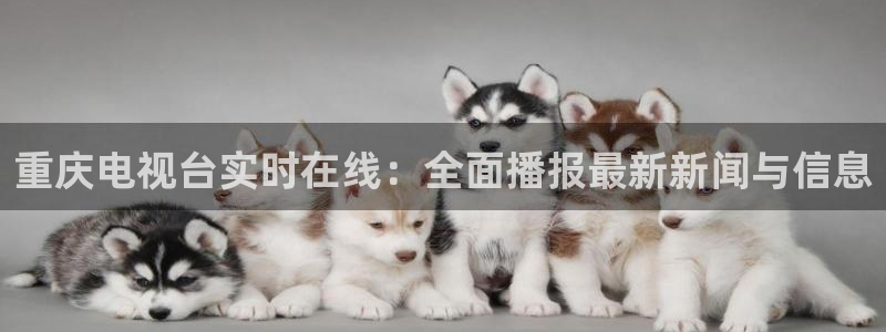 球友直播ios：重庆电视台实时在线：全面播报最新新闻与信息