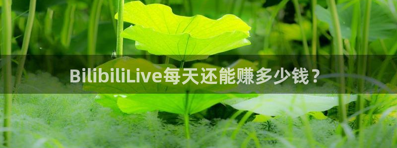 球友体育直播：BilibiliLive每天还能赚多少钱？