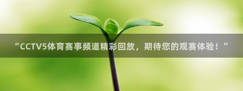 球友直播在线：“CCTV5体育赛事频道精彩回放，期待您的观赛体验！”
