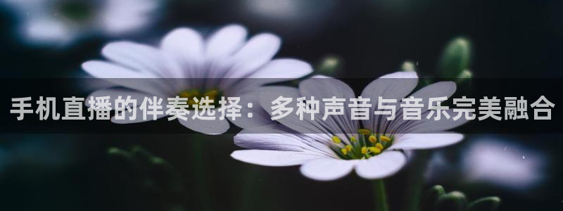 球友直播官网：手机直播的伴奏选择：多种声音与音乐完美融合