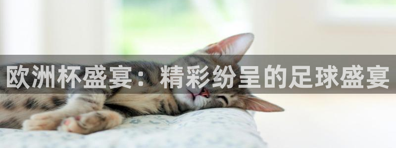 球友直播-足球篮球体育直播平台：欧洲杯盛宴：精彩纷呈的足球盛宴