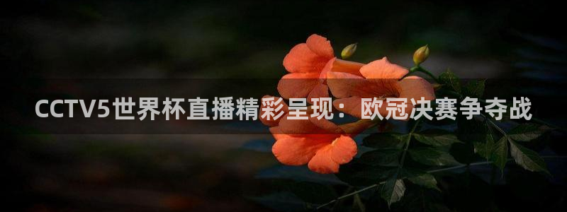 qy球友会体育网址：CCTV5世界杯直播精彩呈现：欧冠决赛争夺战
